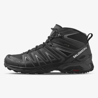 Salomon X ULTRA PIONEER MID GTX 