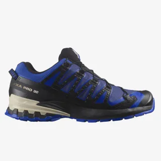 Salomon XA PRO 3D V9 GTX 