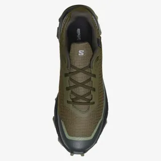 Salomon Alphacross 5 GTX 