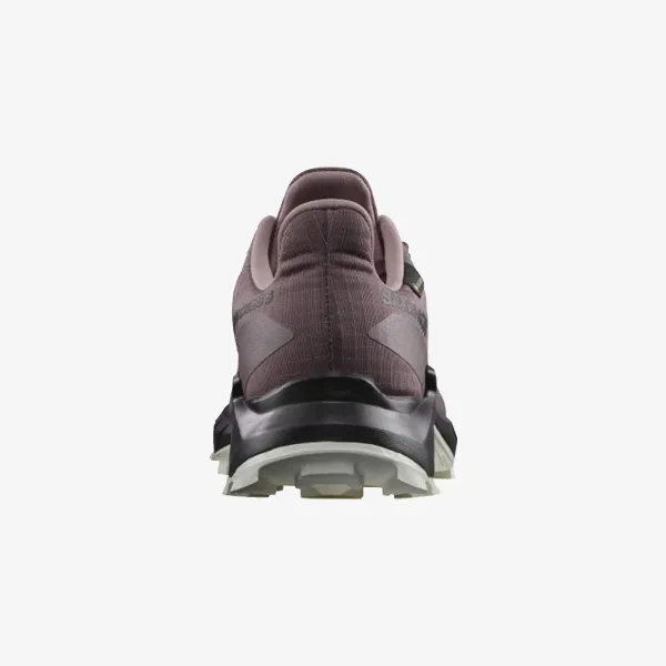 Salomon Alphacross 5 GTX 