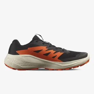 Salomon ALPHAGLIDE 