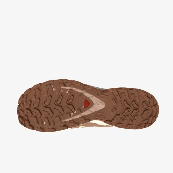 Salomon XA Pro 3D V9 