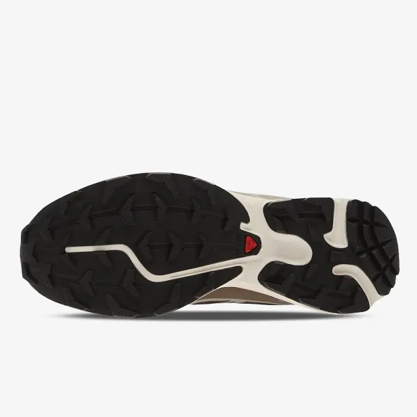 Salomon XT-6 