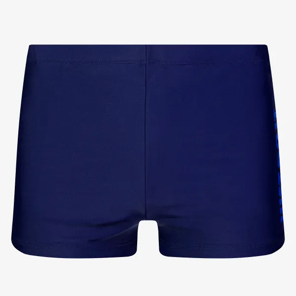 Nike JDI AQUASHORT 