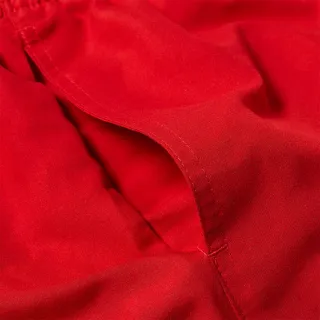 Nike 5  Volley Short 