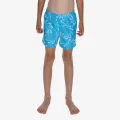 Nike 4 inch Volley Short 