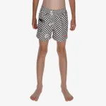 Nike 4 Volley Short 