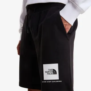 The North Face BOX NSE LIGHT REGULAR SHORTS 